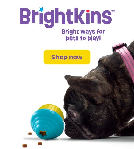 Brightkins logo shown with a dog playing with a cupcake toy
